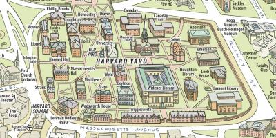 Karta över Harvard university